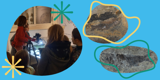 Nella prima foto una bambina fotografa un fossile durante un laboratorio di digitalizzazione, nelle altre due foto si vedono due dei fossili conservati dal museo