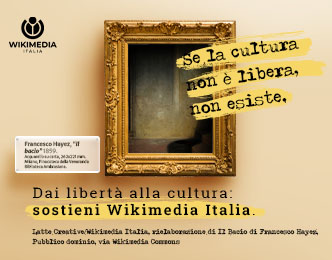 Wikimedia - Libera La Cultura